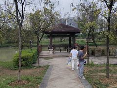 -广东花都湖国家湿地公园