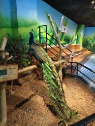 -未来动物城动物主题公园(大悦城店)