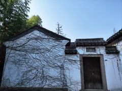 -尚湖风景区