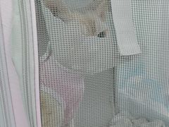-达爱动物医院·犬猫分区·CT·复杂眼科(远洋山水分院)