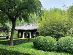 -团结湖公园