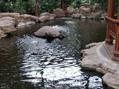 -龙达温泉生态城