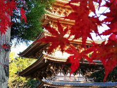 -醍醐寺