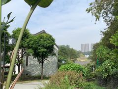 -广州神农草堂中医药博物馆