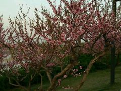 -临汾涝洰河生态公园