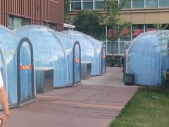 -燕郊烧鸽子(酷车小镇店)