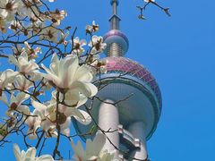 -东方明珠广播电视塔