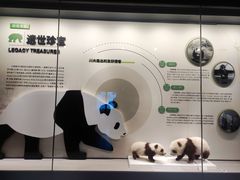 -四川大学博物馆