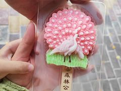 -西双版纳原始森林公园