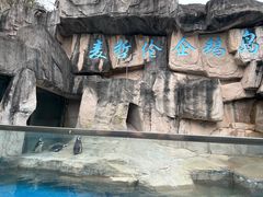 -深圳野生动物园