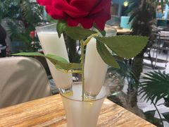 -春润大地海南椰子鸡(沙井京基百纳广场店)