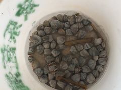 -北海金海湾红树林生态旅游区