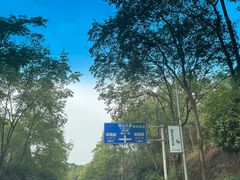 -铁山坪森林公园