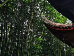 -望江楼公园