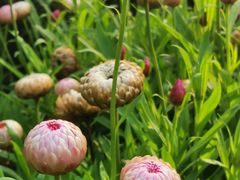 -西湖风景区-江洋畈生态公园