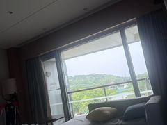 -上海佘山世茂艾美酒店