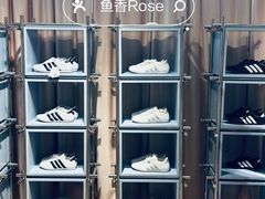-Apollo·西班牙小酒馆(安福路店)