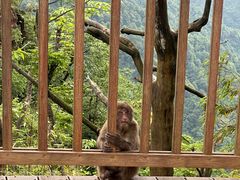 -瓦屋山景区