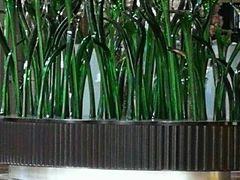 -东方帝景假日酒店