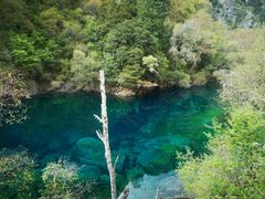 -叠溪松坪沟景区