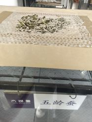 -太湖雪蚕桑文化园
