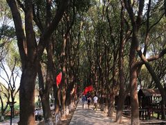 -洪湖生态旅游区