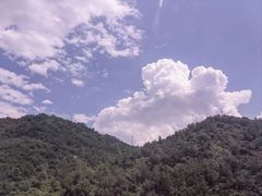 -后柳水乡