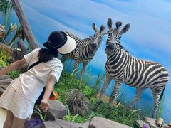 -西霞口神雕山野生动物世界