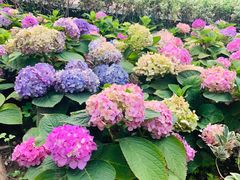 -苏州河梦清园环保主题公园