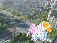-悦厅·下午茶(杭州柏悦酒店)