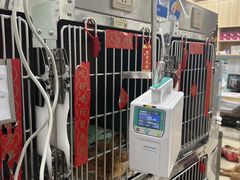 -宠福鑫康馨动物医院·骨科·眼科