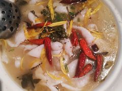 养生酸菜鱼-小资太太餐厅(南岗区店)