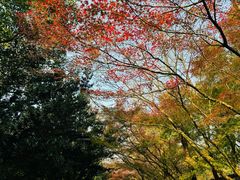 -柯岩风景区