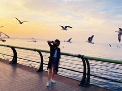 -东港音乐喷泉广场