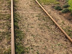 -永定河休闲森林公园