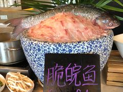 -都会尚膳·海鲜自助餐厅(重庆万豪酒店)