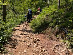 -午潮山国家森林公园