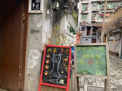 -猫色咖啡·猫咖