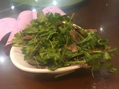 -慧娟面馆·餐厅(望江路店)