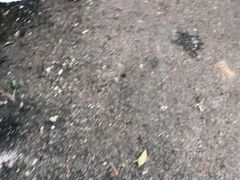 -桥东喜碧海鲜街(水东街店)