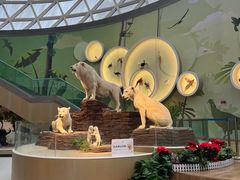 -陕西自然博物馆