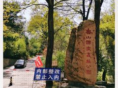 -鲁山国家森林公园