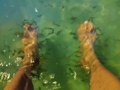 -广东温泉宾馆