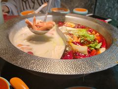 -麻田会 ·鲜活现烹·牛蛙火锅(珠江新城维家思广场店)