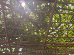 -金稼园·金平湖农家菜