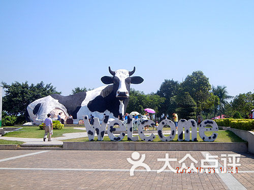 深圳光明农场牛初乳图片-北京其他景点-大众点评网