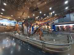 -国家自然博物馆