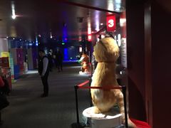-首都电影院(天津店 中国巨幕)