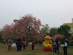-广州花之恋城堡酒店
