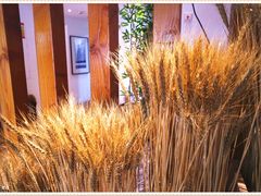 -麦子MaiMassage(打浦桥店)